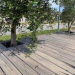 ╬óđ┼═╝ĂČ_202002242015257